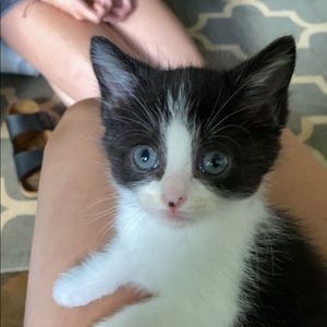 Meet your Posher, Avery